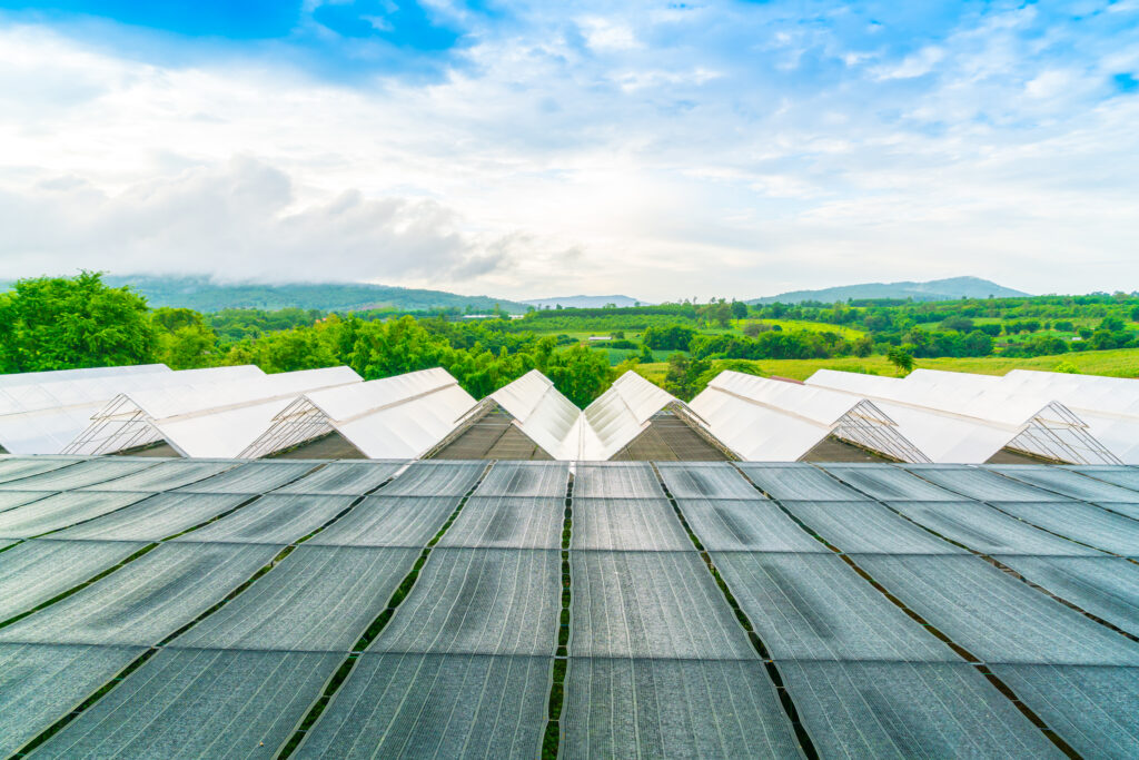 Shade and Solar Panels: How Trees and Buildings Affect Output